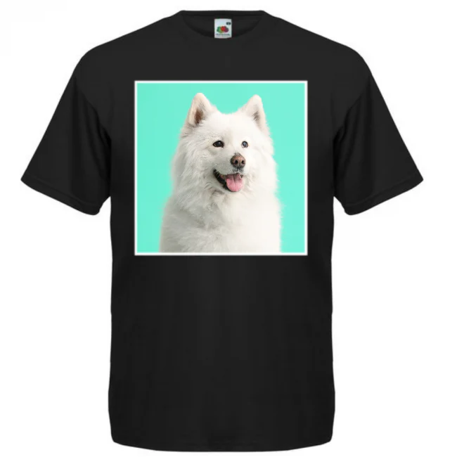 Pikkukuva 1