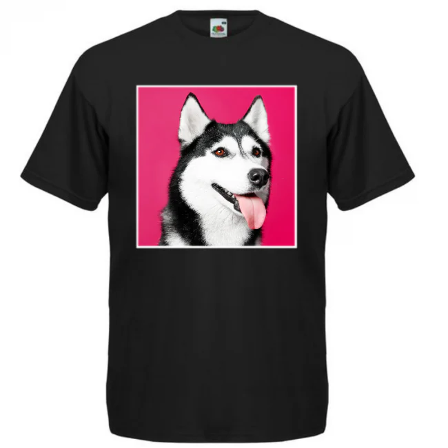 Pikkukuva 1
